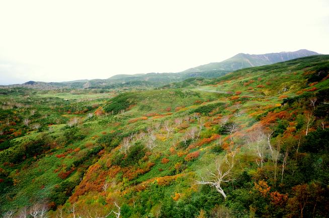 旭岳ロープウェイから眺める紅葉