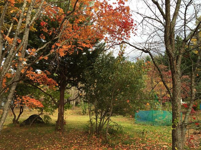 山荘の秋
