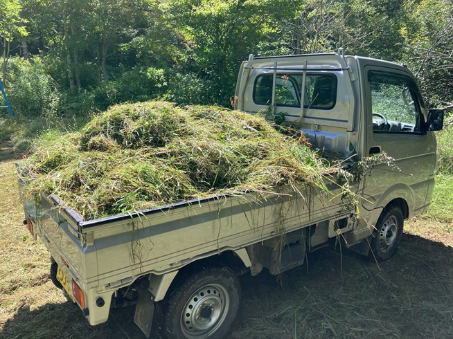 軽トラに積んだ雑草