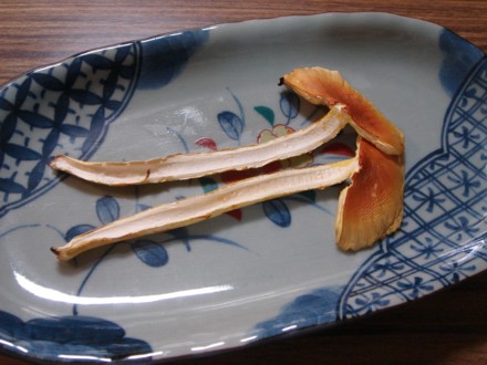 タマゴタケ
