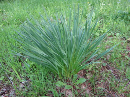 201205243.jpg