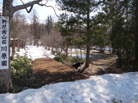 DSC01806.JPG