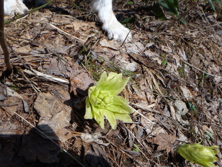 DSC01811.JPG