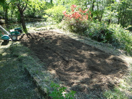 DSC02050.JPG