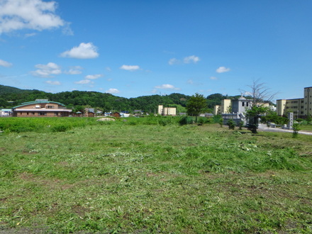 空き地の草刈り