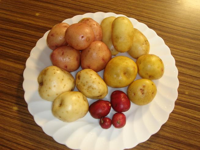 野花南山荘のジャガイモ