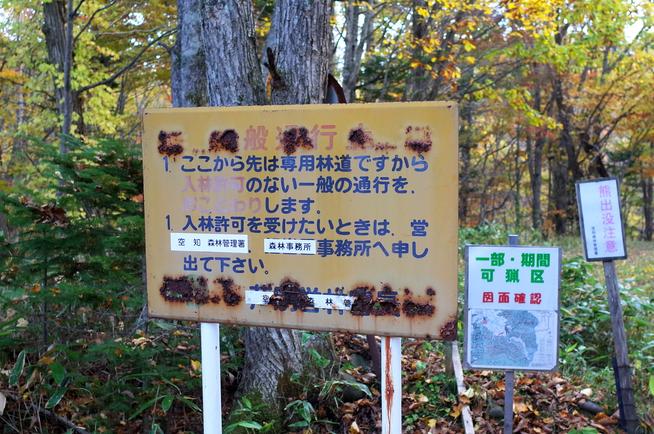 矢野沢林道入り口