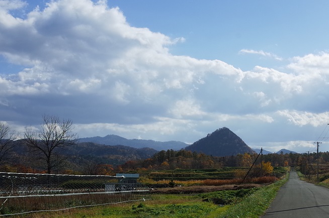 野花南丸山遠景