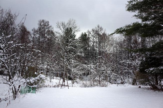 雪の野花南山荘