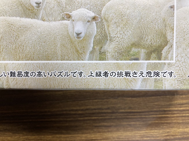 1000マイクロピース ジグソーパズル 眠くなるパズル