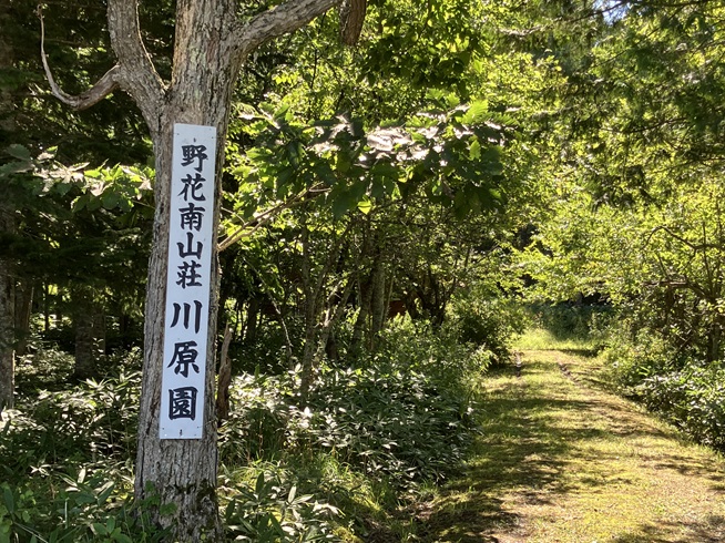 草刈り