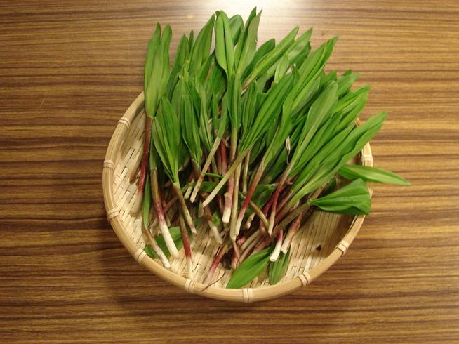 アイヌネギ・行者にんにく