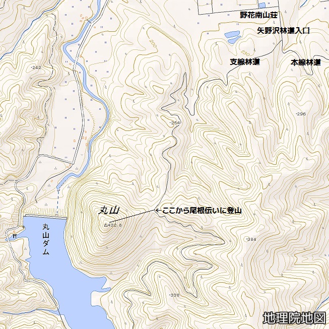 矢野沢支線林道経由丸山山頂