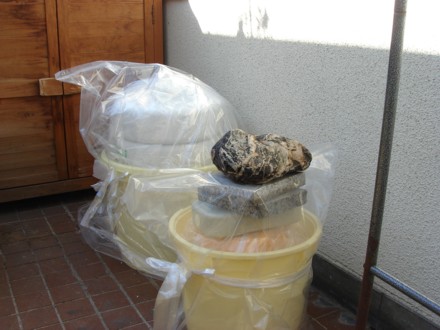 玄米漬け